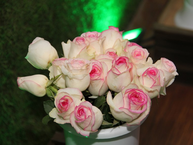 Opening of Zanbak Flower Boutique 